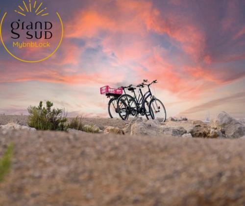 Apartamento Le Plein Sud