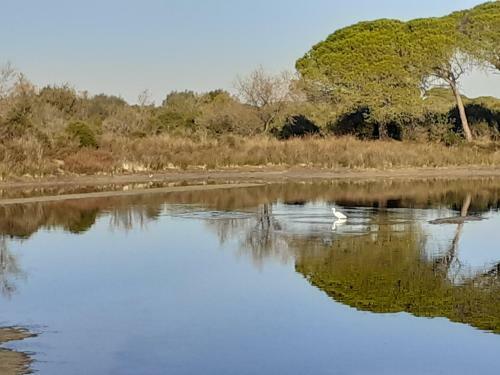 Apartamento Studios Les Aigues Marines