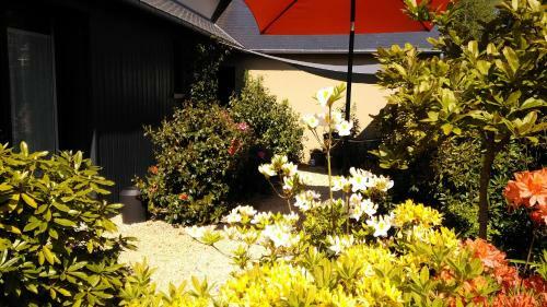 Bed & Breakfast Les Muscaris