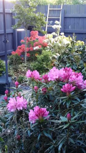 Bed & Breakfast Les Muscaris