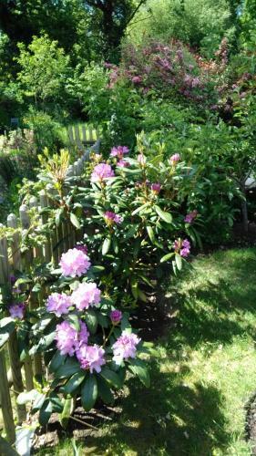 Bed & Breakfast Les Muscaris