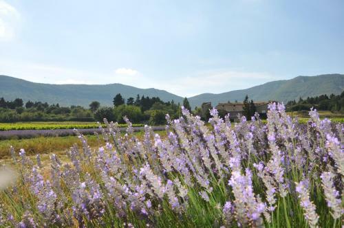 G�tes Du Ch�teau D'alen�on