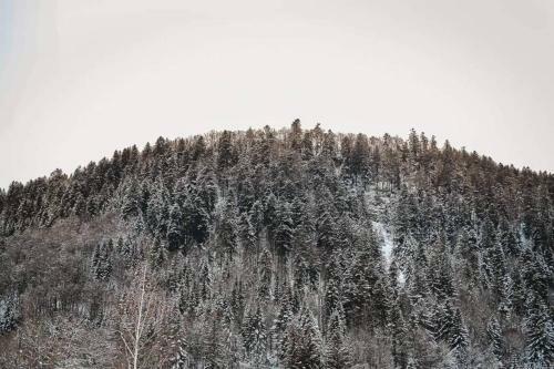 Chalet Loulou, Massif Central, Le Mont-dore