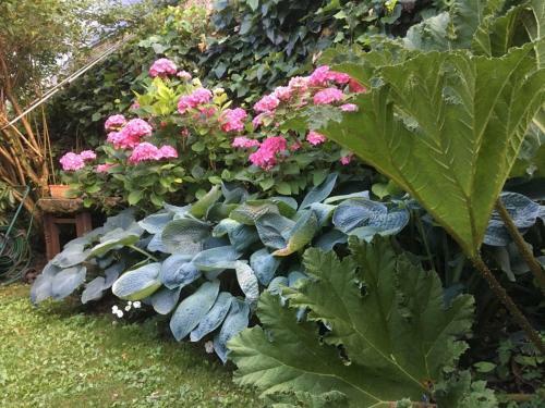 C�t� Jardin, Chambres D?h�tes B&B