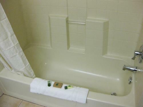 Hotel Eagle's View Inn & Suites