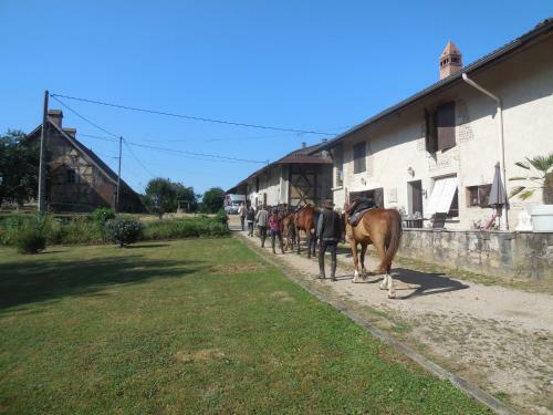Bed & Breakfast Chambre D?h�tes La Jument Grise