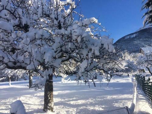 Bed & Breakfast Chambre D'hotes Le Petit Morgon