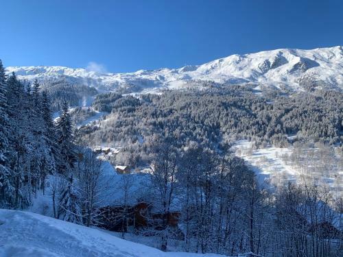 Charmant Chalet Tout Neuf A Meribel