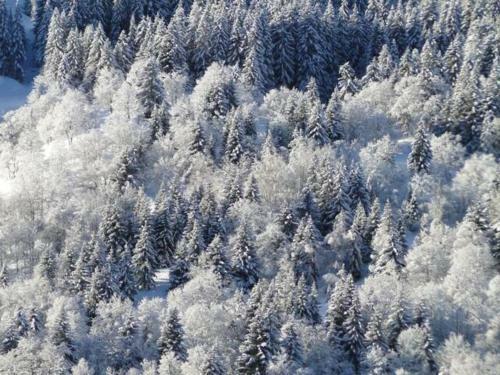Charmant Chalet Tout Neuf A Meribel