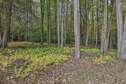 Pet-friendly Poconos Cabin Ski, Hike And Fish!