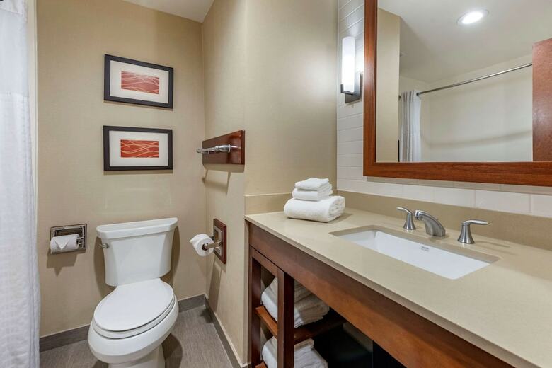 Hotel Comfort Inn & Suites Pittsburgh