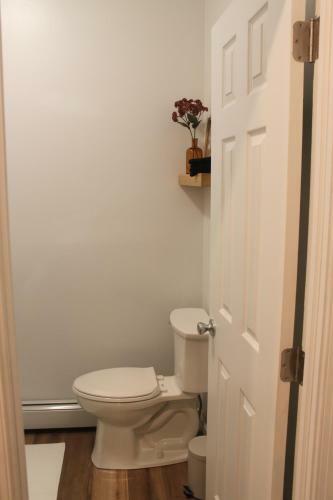 Accentuated Apartment In Manayunk