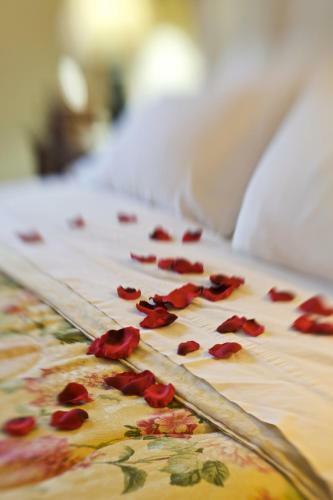 Posada Inn & Spa At Cedar Falls