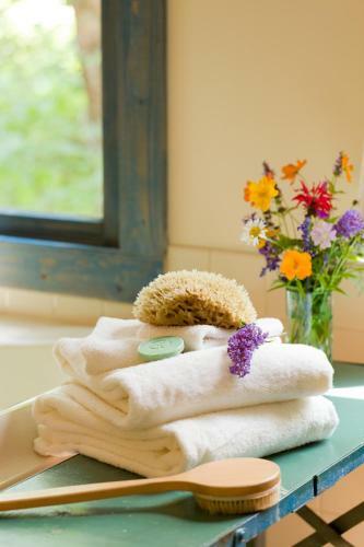 Posada Inn & Spa At Cedar Falls