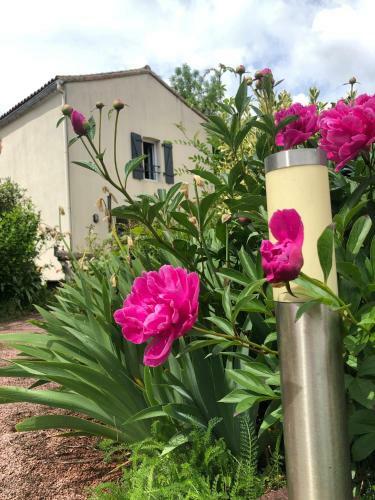Hostal Chambre D�h�tes La Jonch�re
