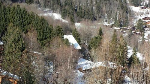 Les Cimes Du Montblanc