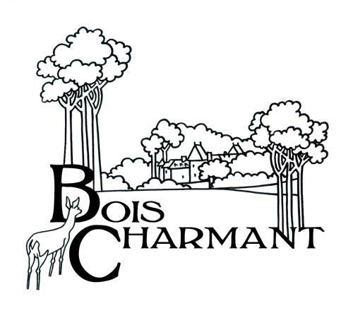 Bed & Breakfast Ch�teau de Bois Charmant
