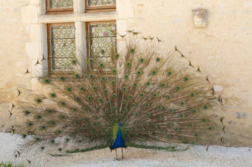 Bed & Breakfast Ch�teau de Bois Charmant