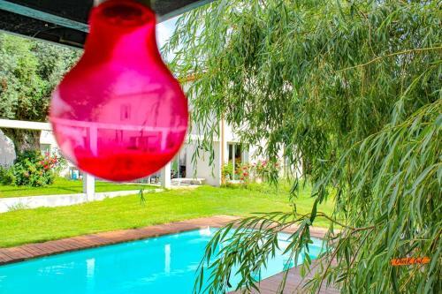 D�pendance & Suite Avec Piscine Pr�s de Perpignan