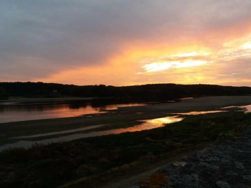 Apartamento Le Cosy Loire Appart
