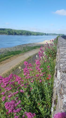 Apartamento Le Cosy Loire Appart
