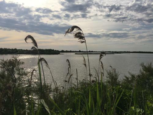 Bed & Breakfast Le Teich Tranquille