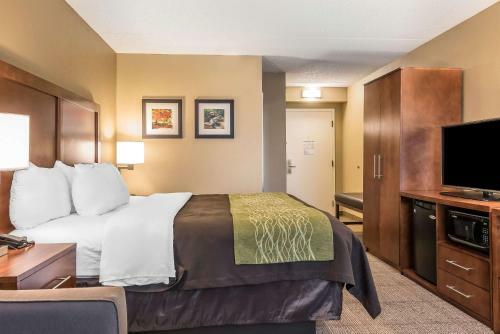 Hotel Comfort Inn Miami Valley Centre Mall
