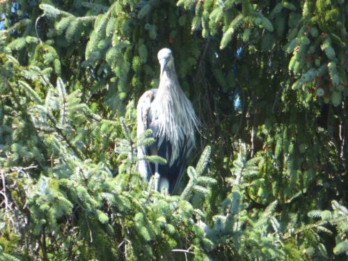 Bed & Breakfast Sheltered Nook On Tillamook Bay