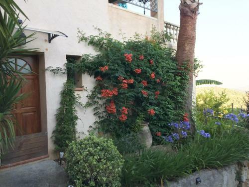 Charmant Rez de Villa En Provence
