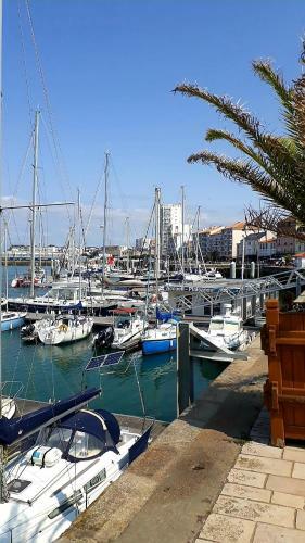 Apartamento Studio Entre Plage Et Port