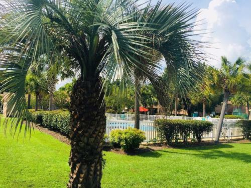 Apartamento Southern Sophistication At Hickory