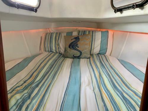 Last Mango 30 Ft Sailboat
