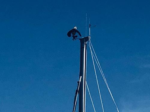 Last Mango 30 Ft Sailboat