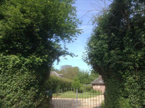 Charmante Petite Maison Dans Le Jardin