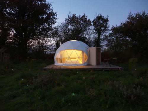 Bulle Bao