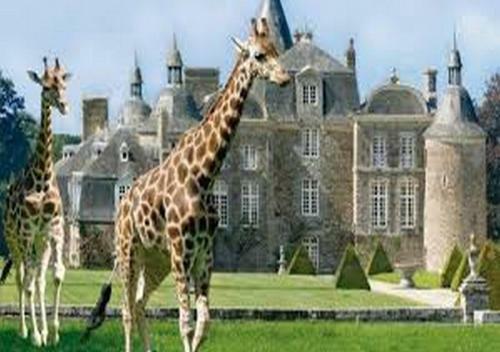 Les Cottages Du Golf