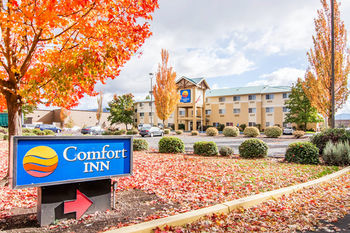 Hotel Comfort Inn South-medford