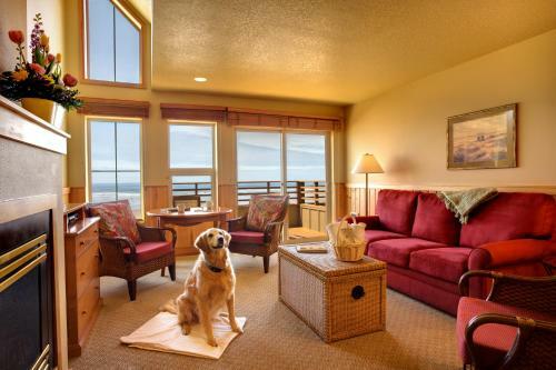 The Ocean Lodge