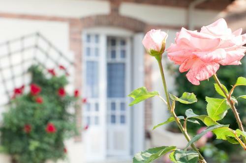 Hostal Maison Lalong�re