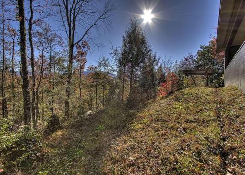 Far Horizons #416 By Aunt Bug's Cabin Rentals