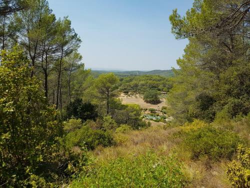 La Garrigue