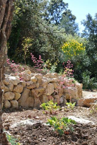Bed & Breakfast Villa Carpe Diem