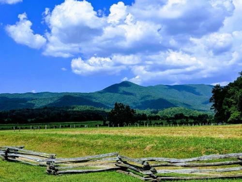 ?pigeon Forge? View 2 King Bed Gsmnp Wifi Hot Tub!