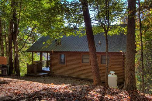 Rustic 4/2 Log Cabin With Lovely Views! Sleeps 8!