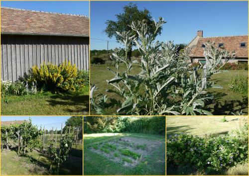 Bed & Breakfast Maison Proche Circuit 24h Du Mans