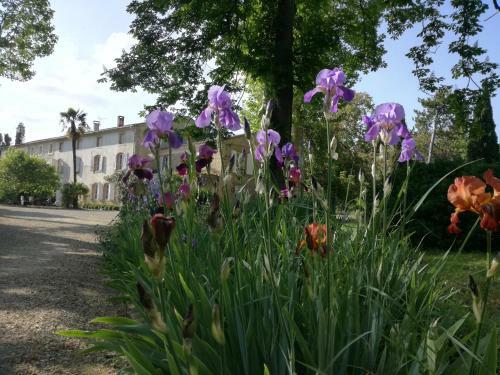 Bed & Breakfast Mon Petit Souli�