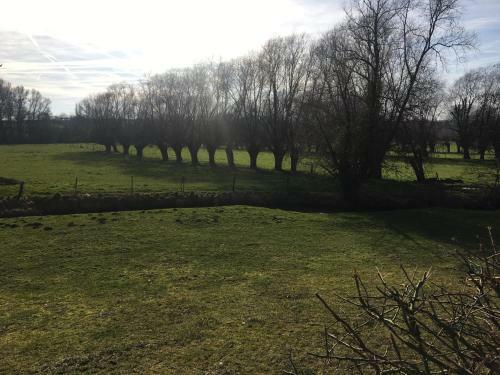 Apartamento La Ga�t� de Louvignies