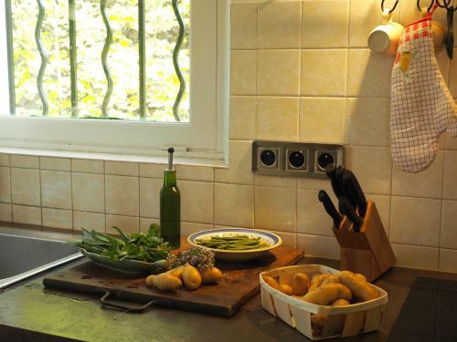 Domaine de Casteuse,lourmarin Cottage
