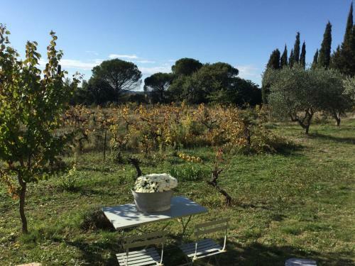 Domaine de Casteuse,lourmarin Cottage