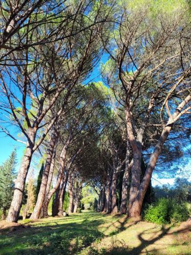 Domaine de Casteuse,lourmarin Cottage